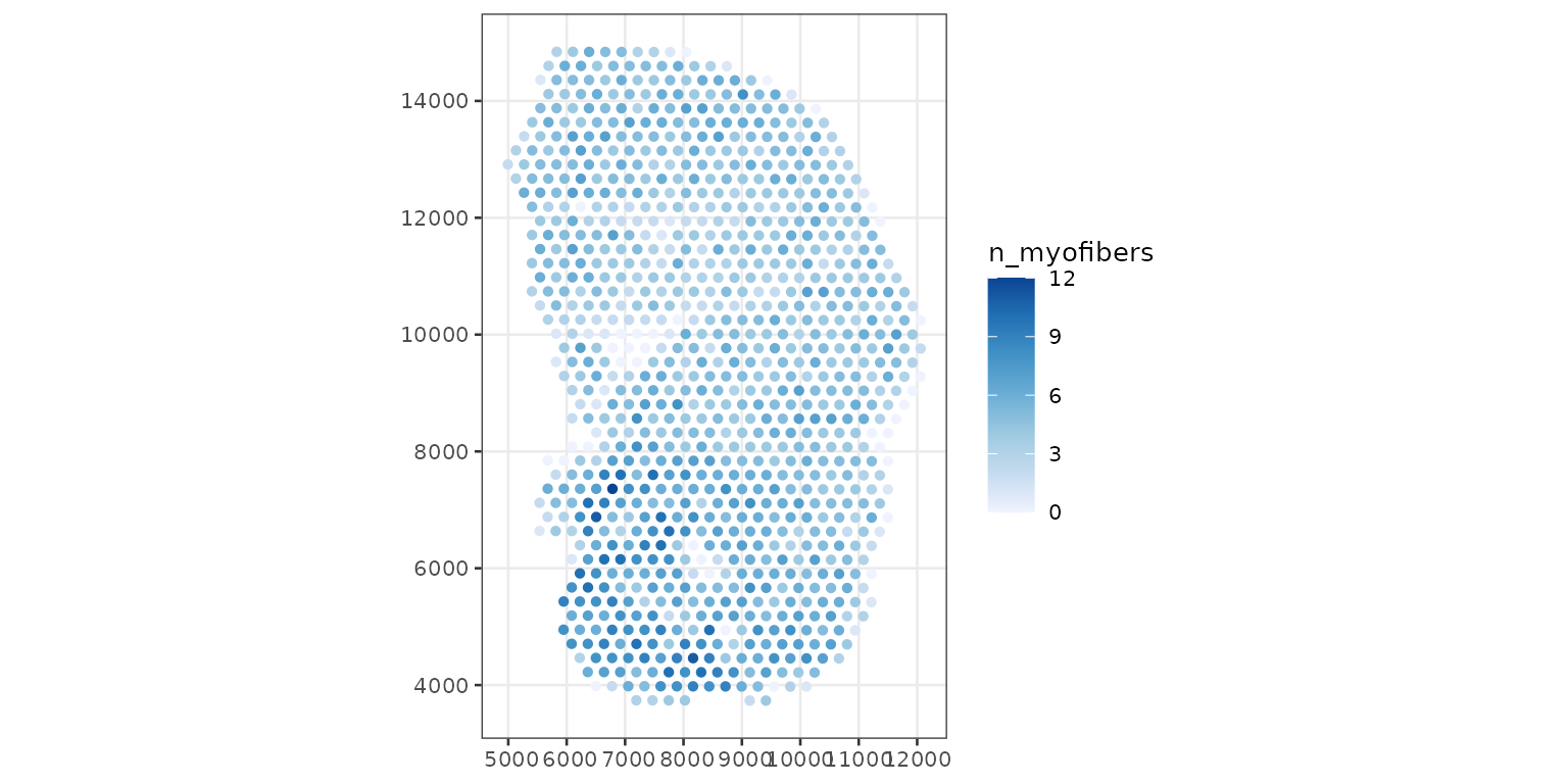 Plot of Visium spots in tissue in physical space, colored by number of myofibers intersecting each spot.