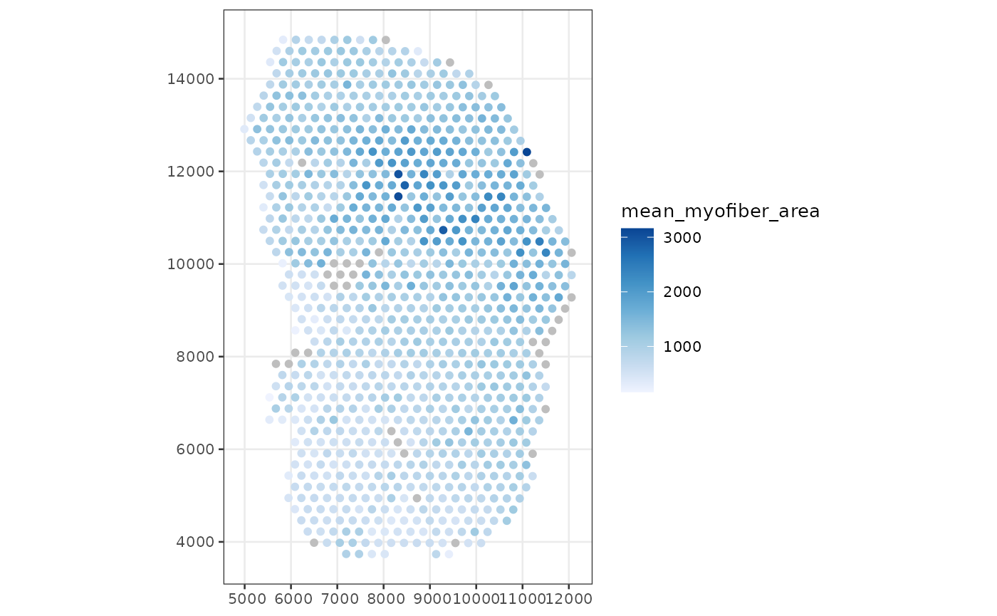 Plot of Visium spots in tissue in physical space, colored by the average area of myofibers that intersect each spot. The average area is higher near the mid-top right part of the tissue.